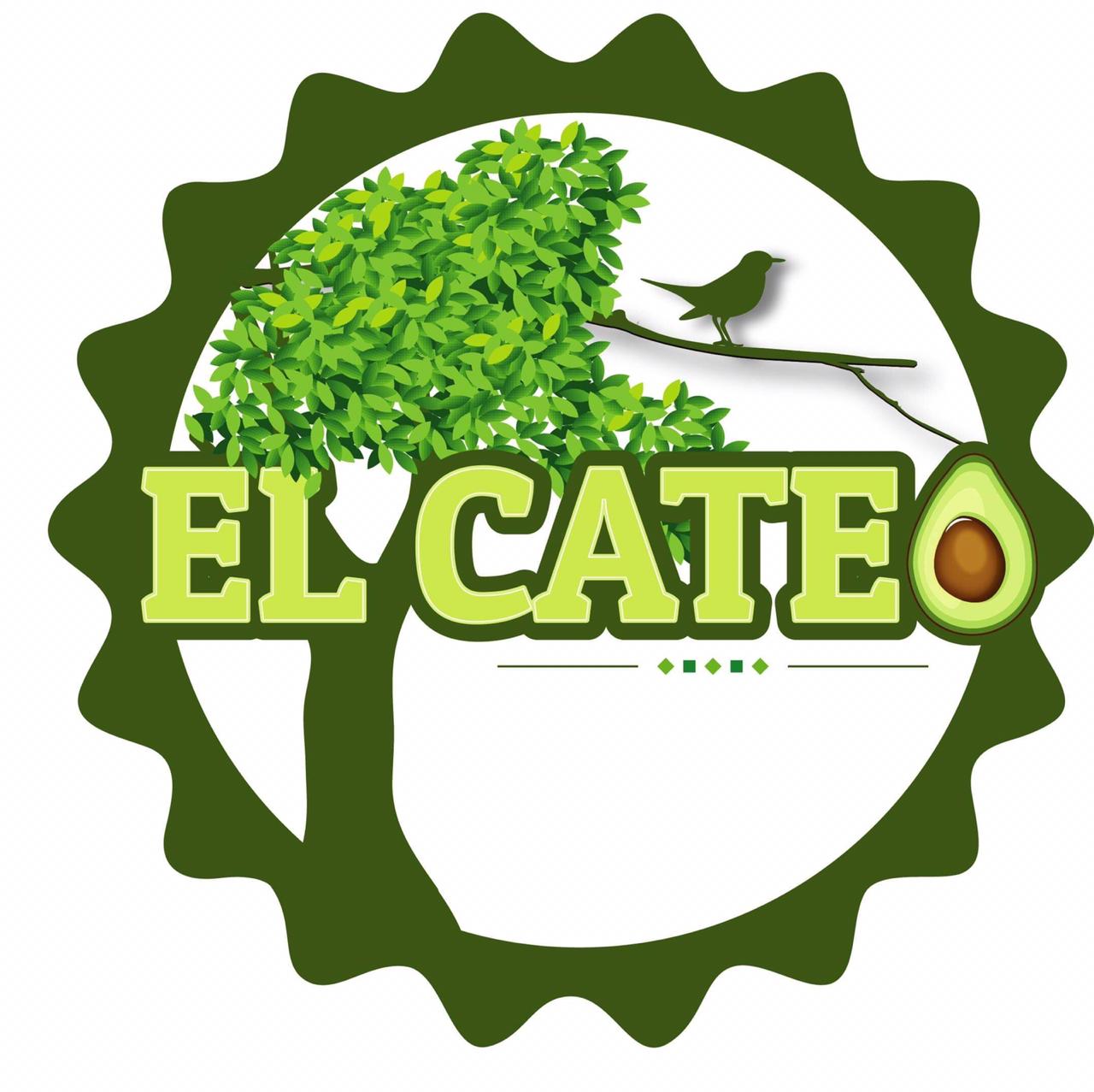 El Cateo